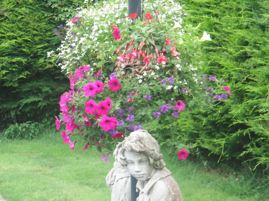 Woodlands House Bed & Breakfast Farranfore Eksteriør bilde